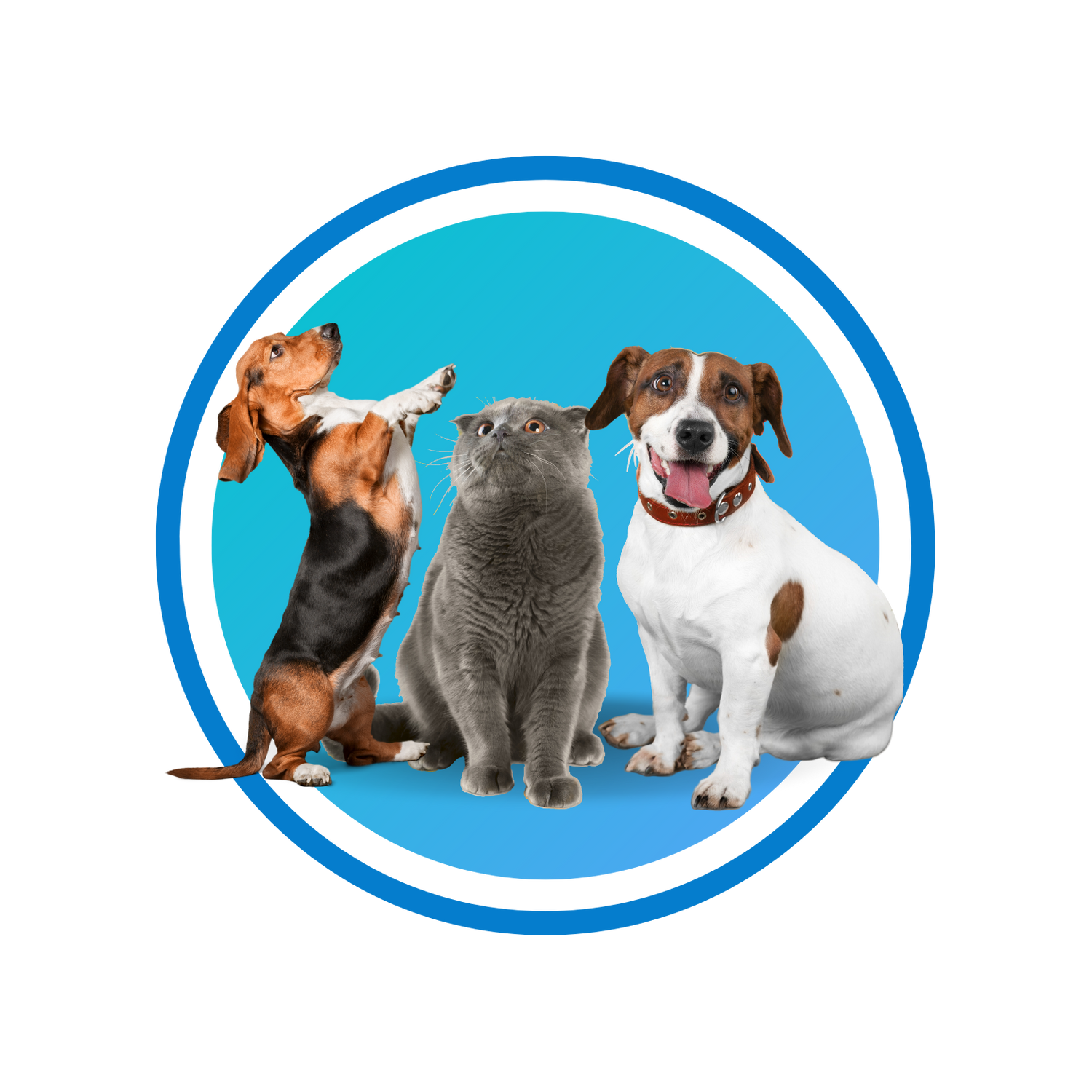 Mascotas